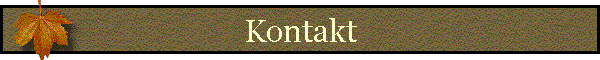 Kontakt